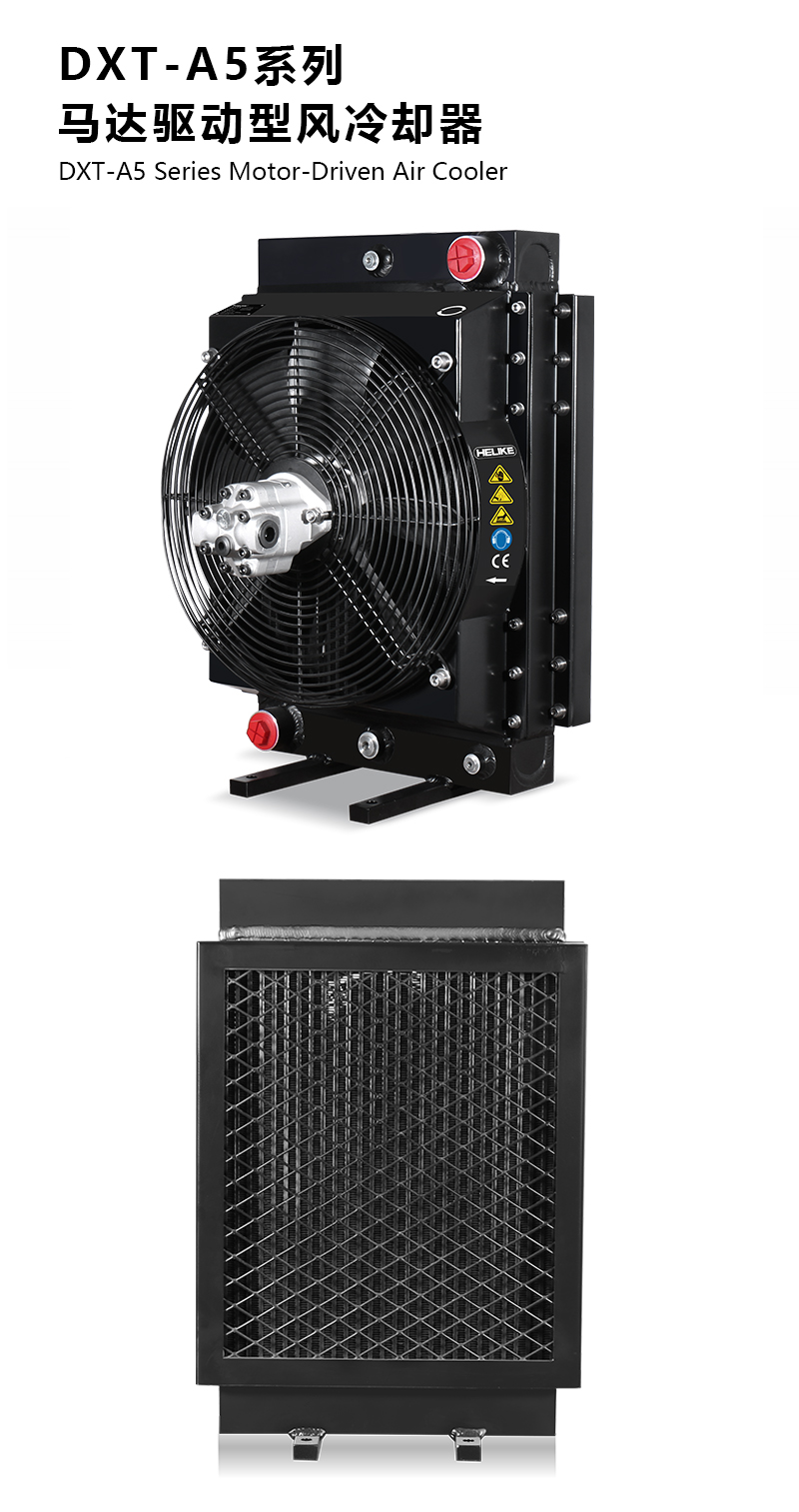 1770109575466524.jpg DXTpsd.jpg